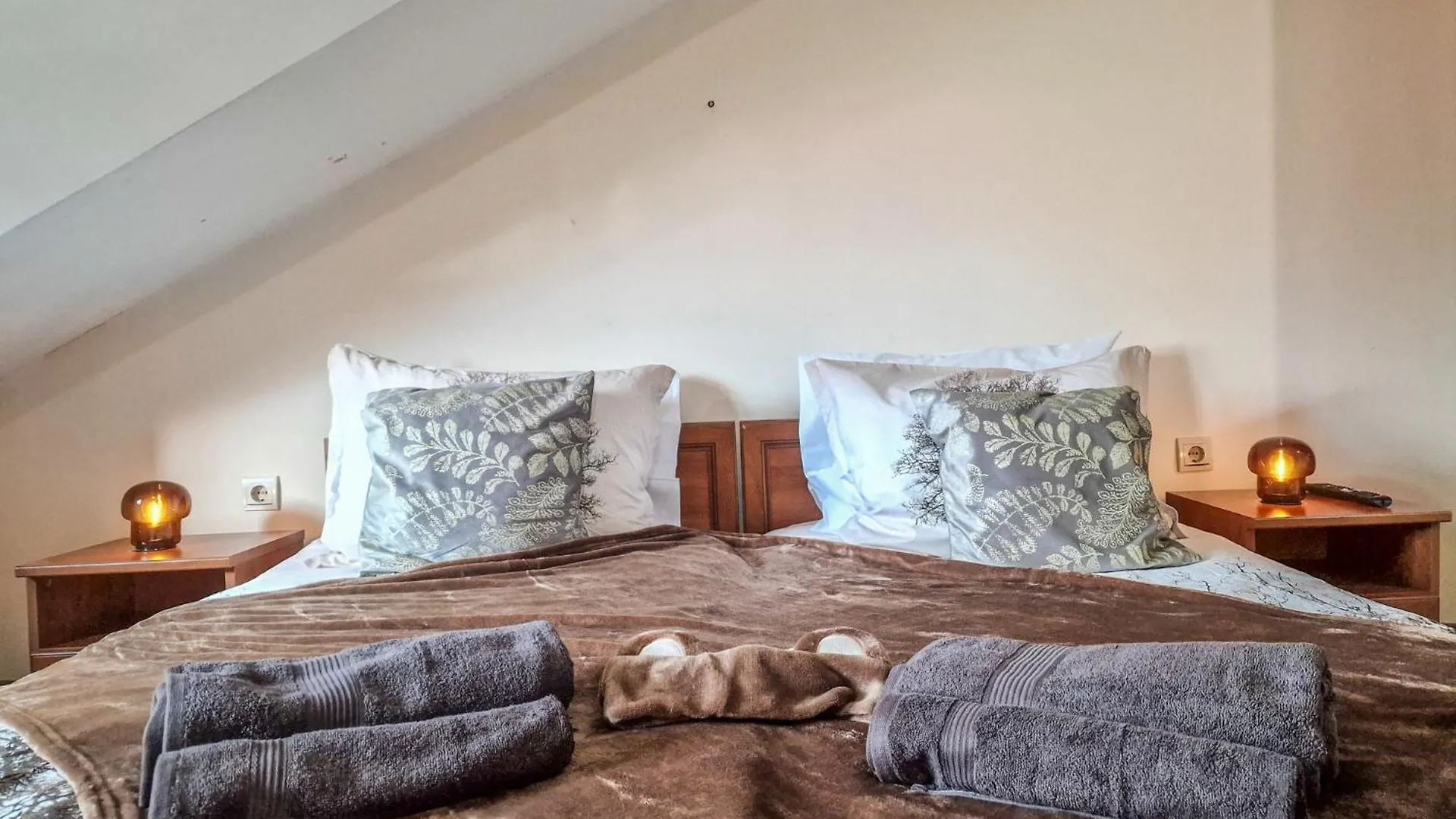 The Brown Bear - Amazing View Apartament , Doorstep To Gondola Bansko